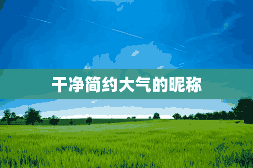 干净简约大气的昵称